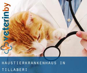 Haustierkrankenhaus in Tillabéri Haustierkrankenhaus in Tillabéri