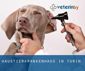 Haustierkrankenhaus in Turin Haustierkrankenhaus in Turin