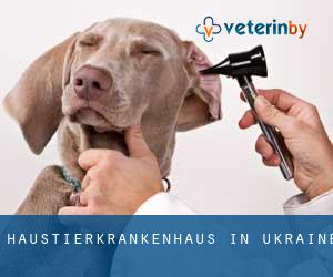 Haustierkrankenhaus in Ukraine