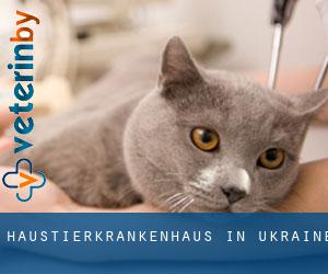Haustierkrankenhaus in Ukraine Haustierkrankenhaus in Ukraine