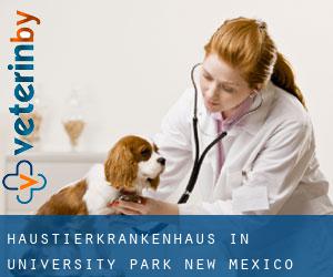 Haustierkrankenhaus in University Park (New Mexico)