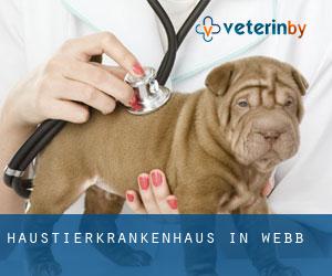 Haustierkrankenhaus in Webb Haustierkrankenhaus in Webb