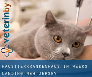 Haustierkrankenhaus in Weeks Landing (New Jersey)