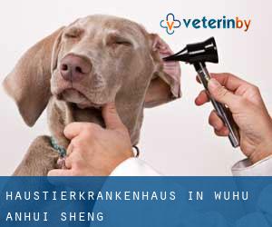 Haustierkrankenhaus in Wuhu (Anhui Sheng) Haustierkrankenhaus in Wuhu (Anhui Sheng)