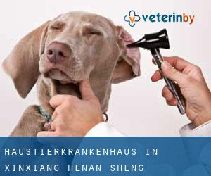 Haustierkrankenhaus in Xinxiang (Henan Sheng) Haustierkrankenhaus in Xinxiang (Henan Sheng)