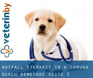 Notfall Tierarzt in A Coruña durch gemeinde - Seite 1