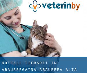 Notfall Tierarzt in Abaurregaina / Abaurrea Alta