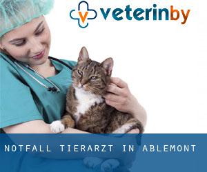 Notfall Tierarzt in Ablemont