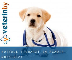 Notfall Tierarzt in Acadia M.District