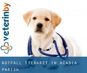 Notfall Tierarzt in Acadia Parish