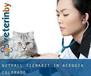 Notfall Tierarzt in Acequia (Colorado)