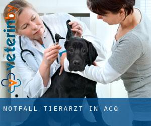 Notfall Tierarzt in Acq
