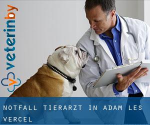 Notfall Tierarzt in Adam-lès-Vercel