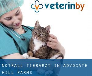 Notfall Tierarzt in Advocate Hill Farms