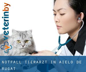 Notfall Tierarzt in Aielo de Rugat