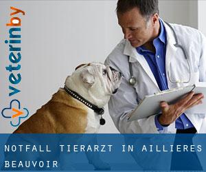 Notfall Tierarzt in Aillières-Beauvoir