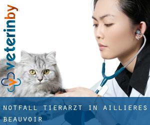 Notfall Tierarzt in Aillières-Beauvoir