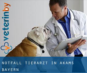 Notfall Tierarzt in Akams (Bayern)