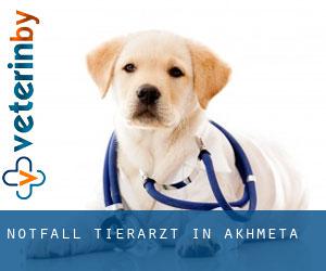 Notfall Tierarzt in Akhmeta