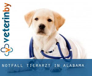 Notfall Tierarzt in Alabama Notfall Tierarzt in Alabama