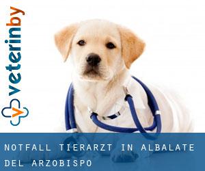 Notfall Tierarzt in Albalate del Arzobispo