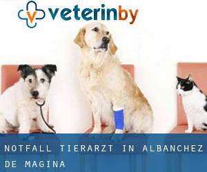 Notfall Tierarzt in Albanchez de Mágina