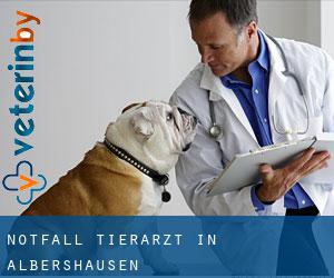 Notfall Tierarzt in Albershausen