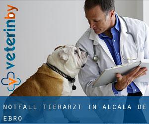 Notfall Tierarzt in Alcalá de Ebro