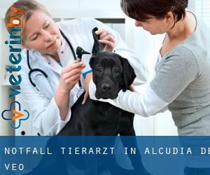 Notfall Tierarzt in Alcudia de Veo