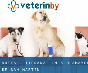 Notfall Tierarzt in Aldeamayor de San Martín