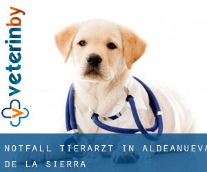 Notfall Tierarzt in Aldeanueva de la Sierra