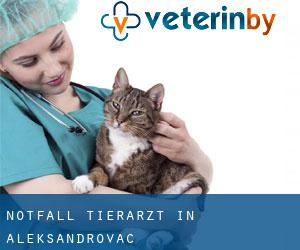 Notfall Tierarzt in Aleksandrovac