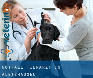 Notfall Tierarzt in Aletshausen
