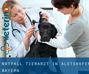 Notfall Tierarzt in Aletshofen (Bayern)