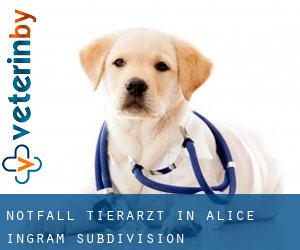 Notfall Tierarzt in Alice Ingram Subdivision