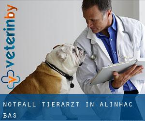 Notfall Tierarzt in Alinhac-Bas