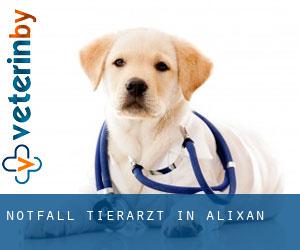 Notfall Tierarzt in Alixan
