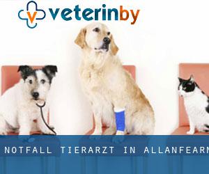 Notfall Tierarzt in Allanfearn