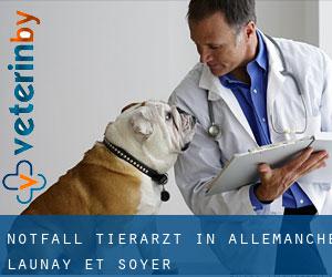 Notfall Tierarzt in Allemanche-Launay-et-Soyer
