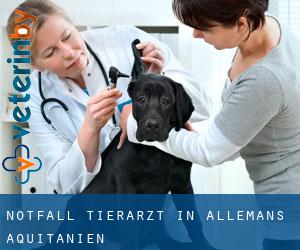 Notfall Tierarzt in Allemans (Aquitanien)