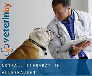 Notfall Tierarzt in Alleshausen