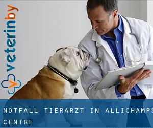 Notfall Tierarzt in Allichamps (Centre)