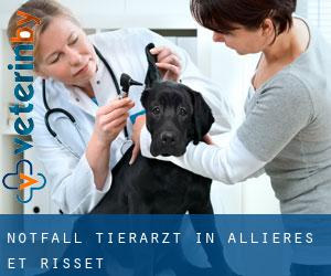 Notfall Tierarzt in Allières-et-Risset