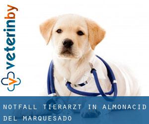 Notfall Tierarzt in Almonacid del Marquesado