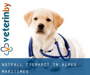 Notfall Tierarzt in Alpes-Maritimes Notfall Tierarzt in Alpes-Maritimes
