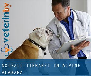 Notfall Tierarzt in Alpine (Alabama)