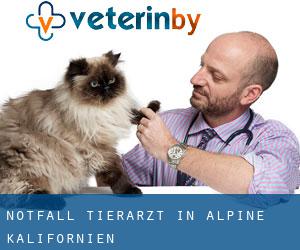 Notfall Tierarzt in Alpine (Kalifornien)