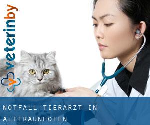 Notfall Tierarzt in Altfraunhofen