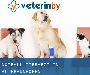 Notfall Tierarzt in Altfraunhofen