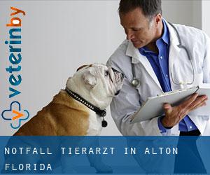 Notfall Tierarzt in Alton (Florida)